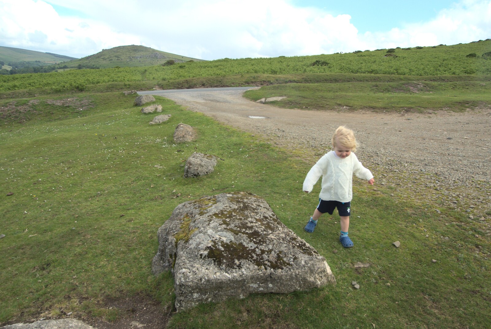 Fred runs around on Dartmoor from A Camper Van Odyssey: Charmouth, Plymouth, Dartmoor and Bath - 20th June 2011
