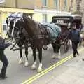 A horse and cart awaits, A Camper Van Odyssey: Charmouth, Plymouth, Dartmoor and Bath - 20th June 2011