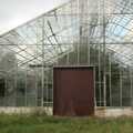 A huge derelict greenhouse, A Few Hours at the Bressingham Steam Museum, Bressingham, Norfolk - 2nd July 2011