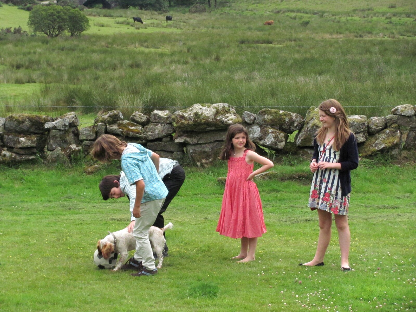 The dog eats the ball from Mike's Memorial, Prince Hall Hotel, Two Bridges, Dartmoor - 12th July 2011