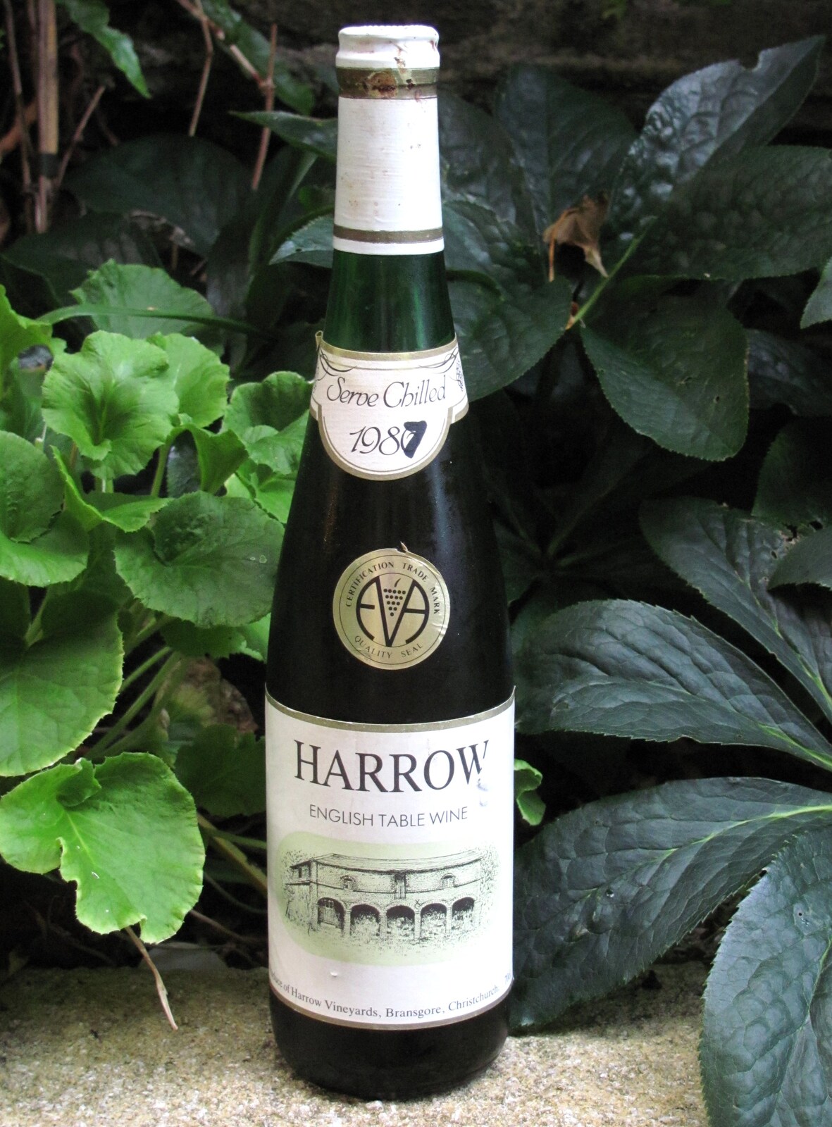 The legendary 1987 bottle of Harrow wine from Mike's Memorial, Prince Hall Hotel, Two Bridges, Dartmoor - 12th July 2011