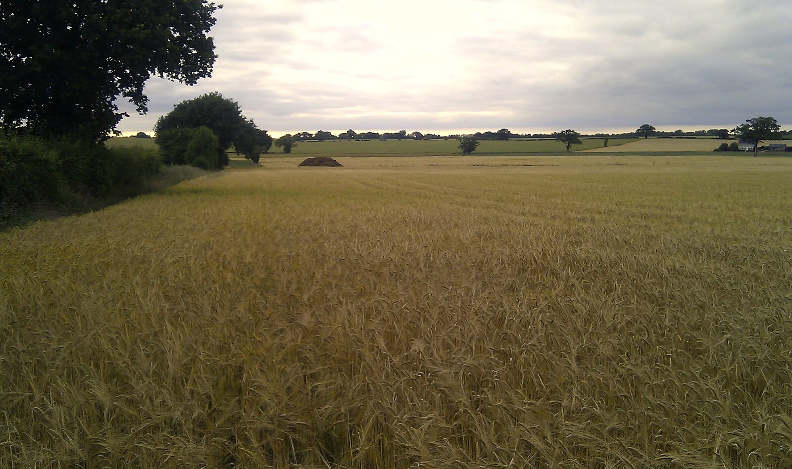 A view over a field somewhere from On the Rails, and a Kebab, Stratford and Diss, Norfolk - 31st July 2011