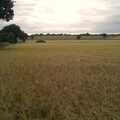 A view over a field somewhere, On the Rails, and a Kebab, Stratford and Diss, Norfolk - 31st July 2011