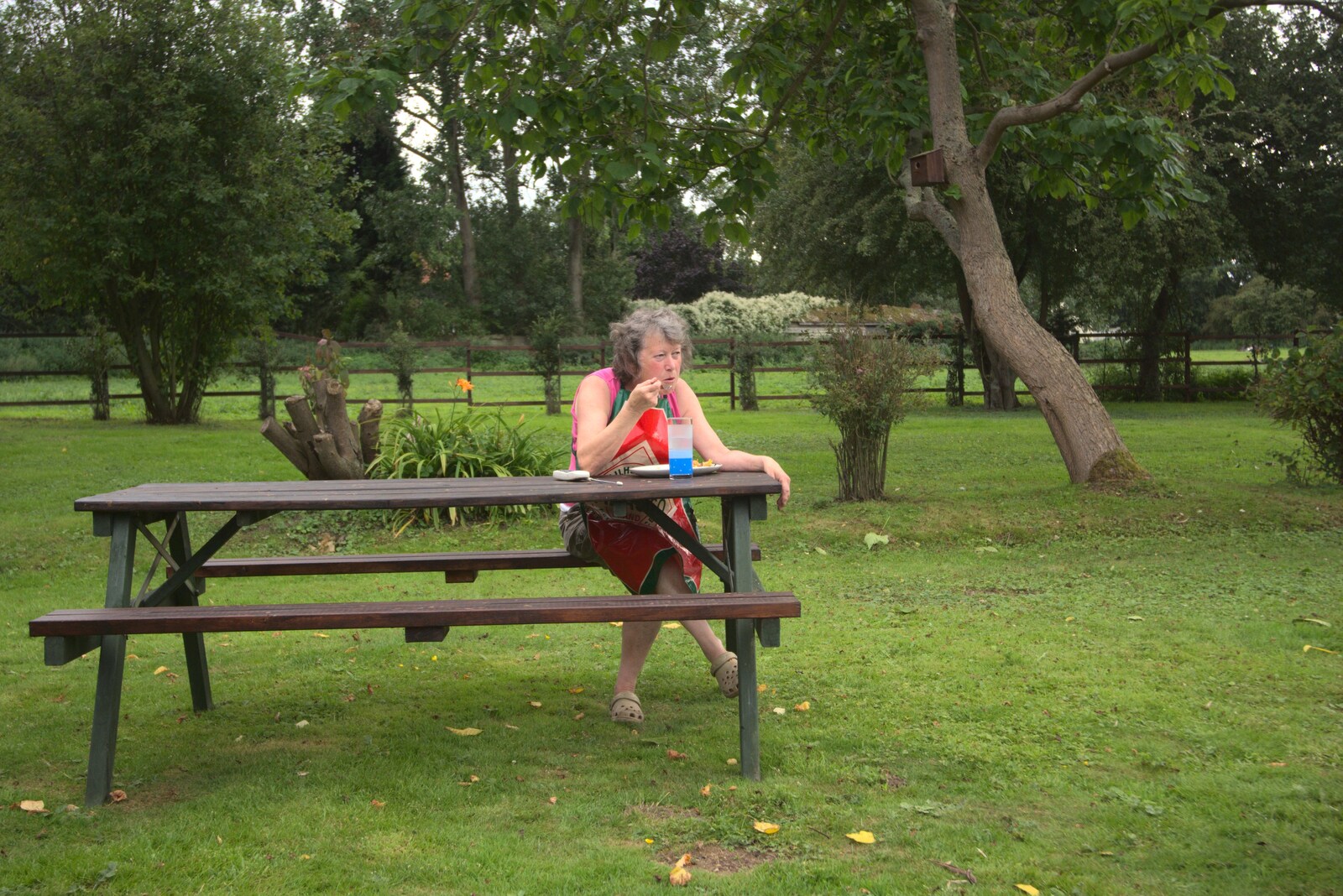 Sylvia gets left alone eating from Barbeque at the Swan Inn, Brome, Suffolk - 5th August 2011