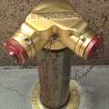Shiny fire hydrant, A Manhattan Hotdog, New York, USA - 21st August 2011
