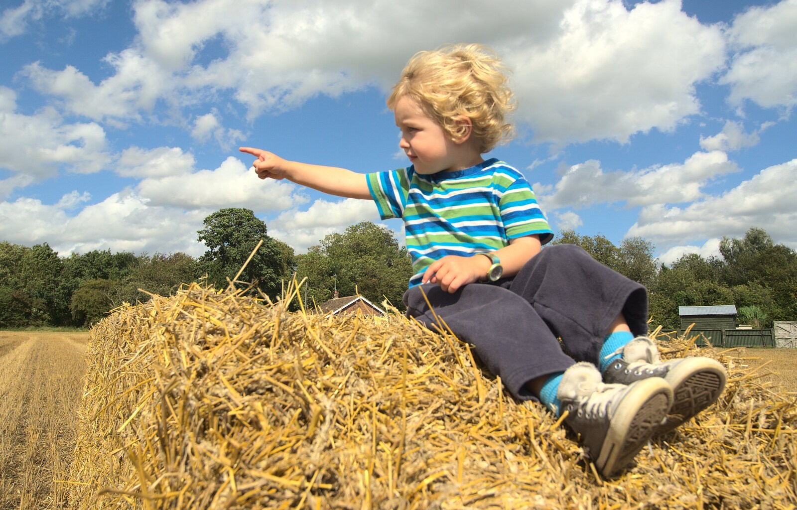 Fred points, like a Soviet propaganda poster from Farmers' Market and Harvest Day, Diss and Brome, Norfolk and Suffolk - 10th September 2011