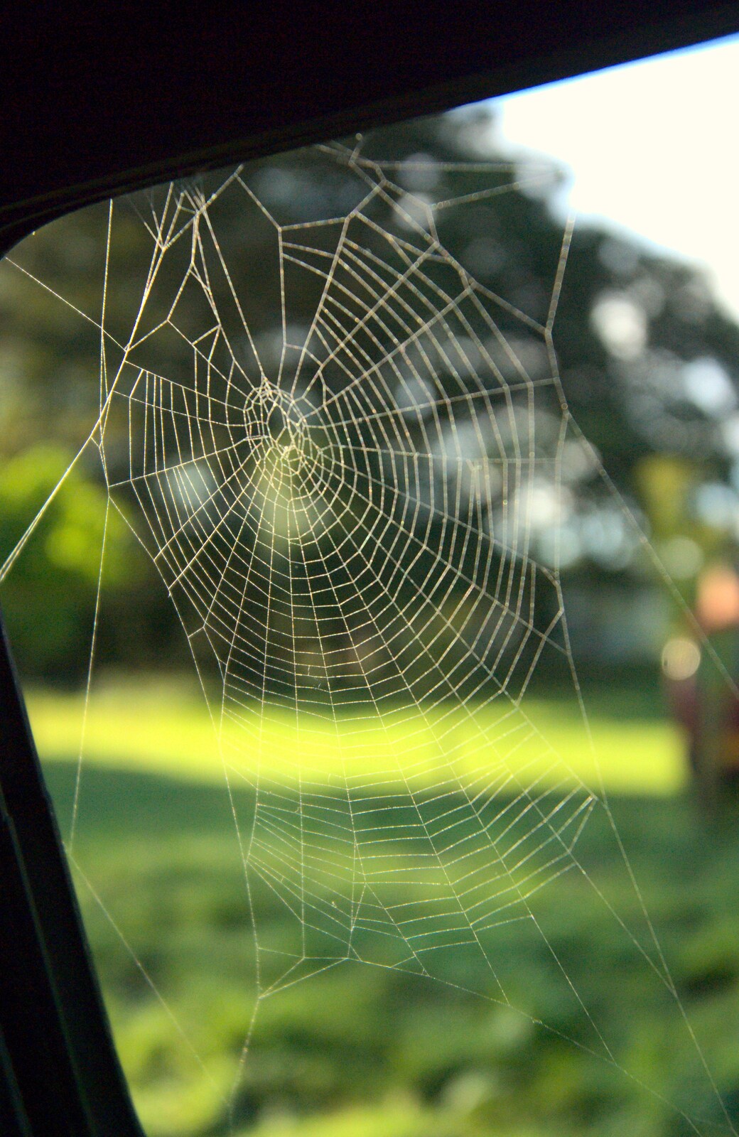 There's a cool spider web on the van window from The 1940s Steam Train Weekend, Holt, Norfolk - 18th September 2011