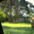 There's a cool spider web on the van window, The 1940s Steam Train Weekend, Holt, Norfolk - 18th September 2011