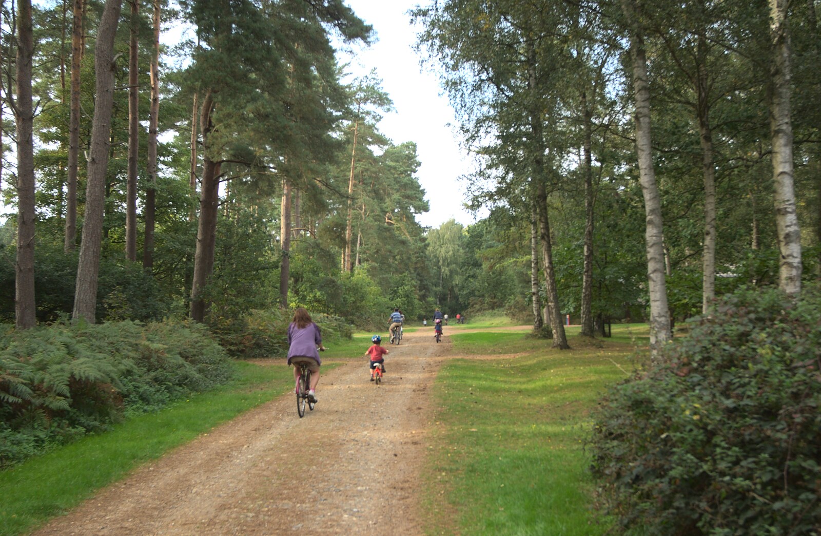 Cycling through the pine forest from Fred's Birthday and Mildenhall Camping, Suffolk - 25th September 2011