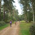 Cycling through the pine forest, Fred's Birthday and Mildenhall Camping, Suffolk - 25th September 2011
