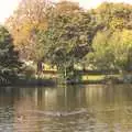 Diss Park over the Mere, An Apple-Picking Heatwave, and Other Stories, London and Brome, Suffolk - 2nd October 2011