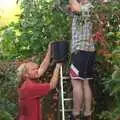 Wavy holds a bucket as Mike's up a ladder, An Apple-Picking Heatwave, and Other Stories, London and Brome, Suffolk - 2nd October 2011