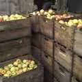 Piles of apples - the six cases on the left are ours, Paul's TouchType Birthday and the Old Chap Visits, London and Brome, Suffolk - 9th October 2011