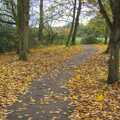 A leafy autumnal path through Thornham Walks, Autumn in Thornham Estate, Thornham, Suffolk - 6th November 2011