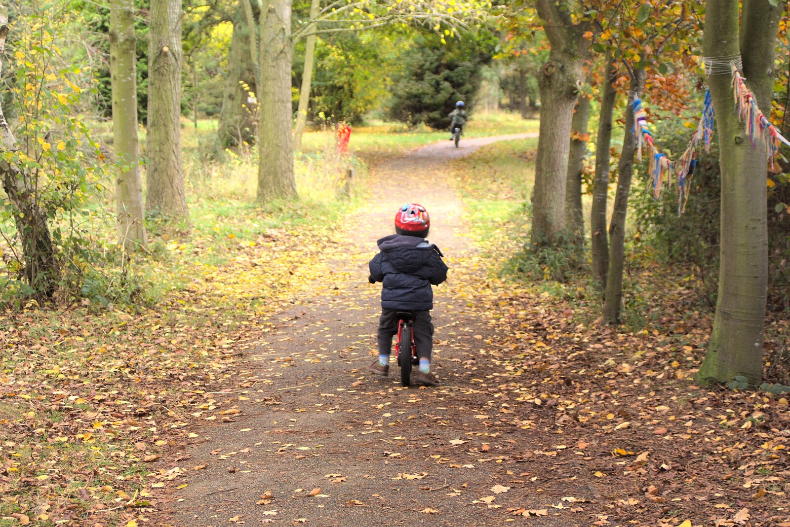 Fred on his balance bike from Autumn in Thornham Estate, Thornham, Suffolk - 6th November 2011
