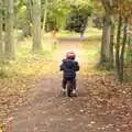 Fred on his balance bike, Autumn in Thornham Estate, Thornham, Suffolk - 6th November 2011