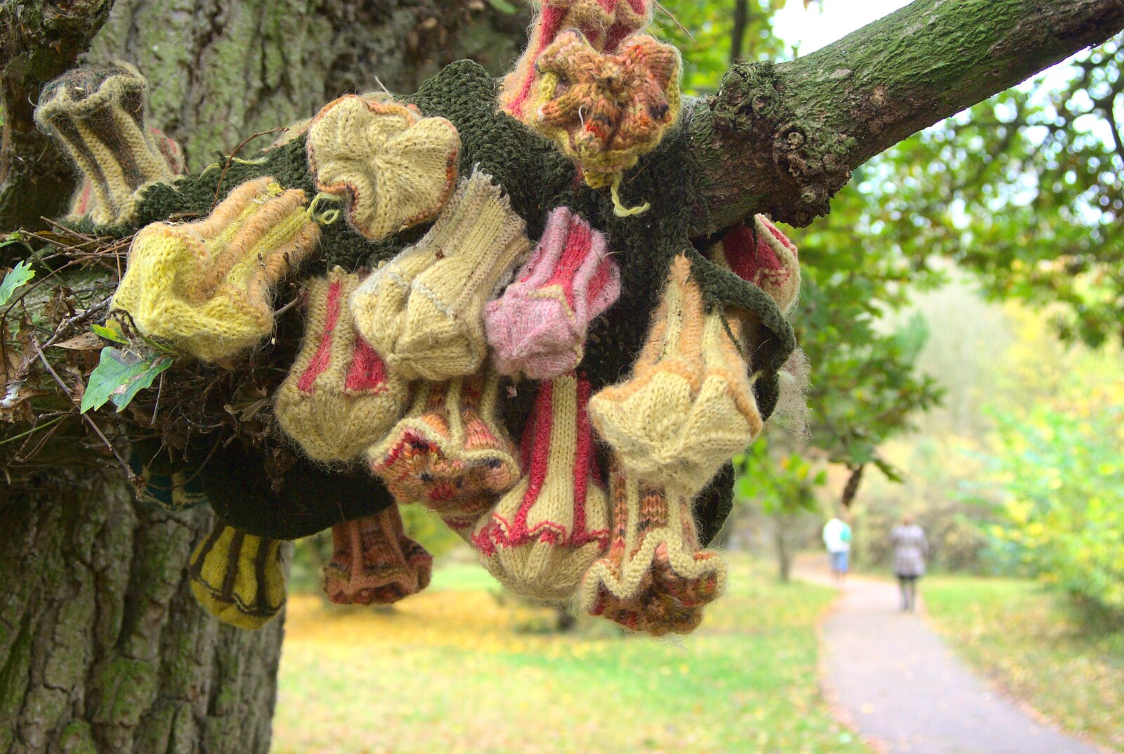 Knitted mushrooms in a tree from Autumn in Thornham Estate, Thornham, Suffolk - 6th November 2011