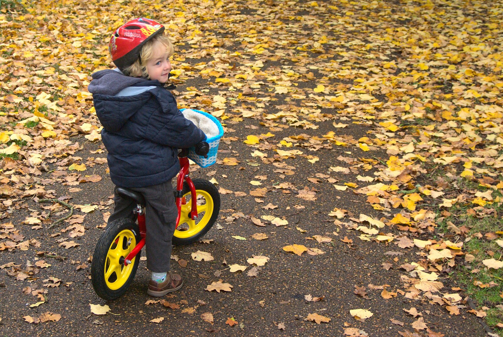 Fred pauses on his balance bike from Autumn in Thornham Estate, Thornham, Suffolk - 6th November 2011