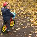 Fred pauses on his balance bike, Autumn in Thornham Estate, Thornham, Suffolk - 6th November 2011