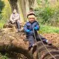 Isobel and Fred ride the wooden dragon, Autumn in Thornham Estate, Thornham, Suffolk - 6th November 2011