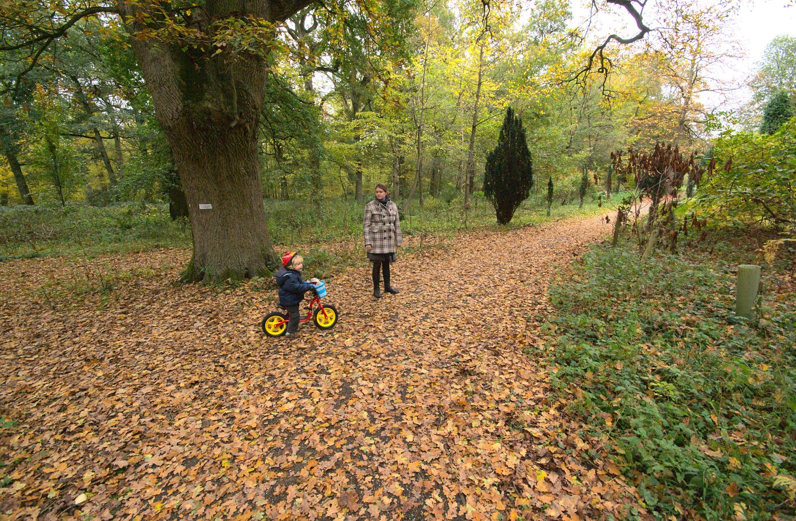 Fred and Isobel in Thornham Walks from Autumn in Thornham Estate, Thornham, Suffolk - 6th November 2011