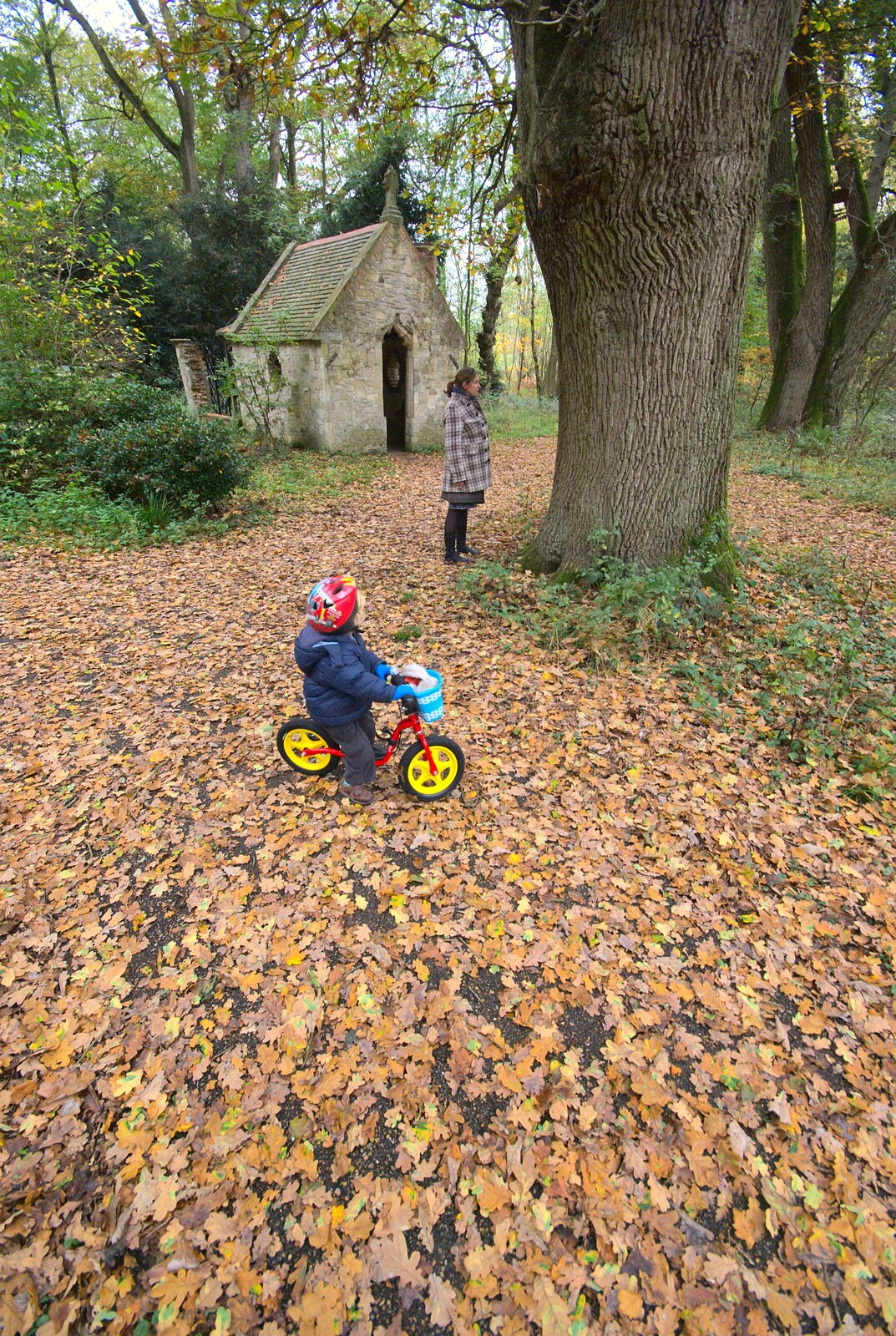 Fred roams on his bike as Isobel reads a tree from Autumn in Thornham Estate, Thornham, Suffolk - 6th November 2011