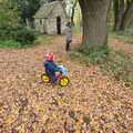 Fred roams on his bike as Isobel reads a tree, Autumn in Thornham Estate, Thornham, Suffolk - 6th November 2011