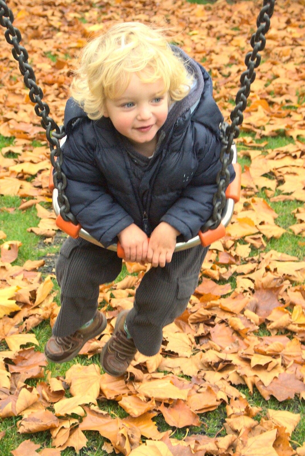 Fred on a swing from Autumn in Thornham Estate, Thornham, Suffolk - 6th November 2011
