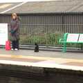 Station Cat waits for a train on platform 2, London Demonstration and a November Miscellany, London and Brome, Suffolk - 12th November 2011