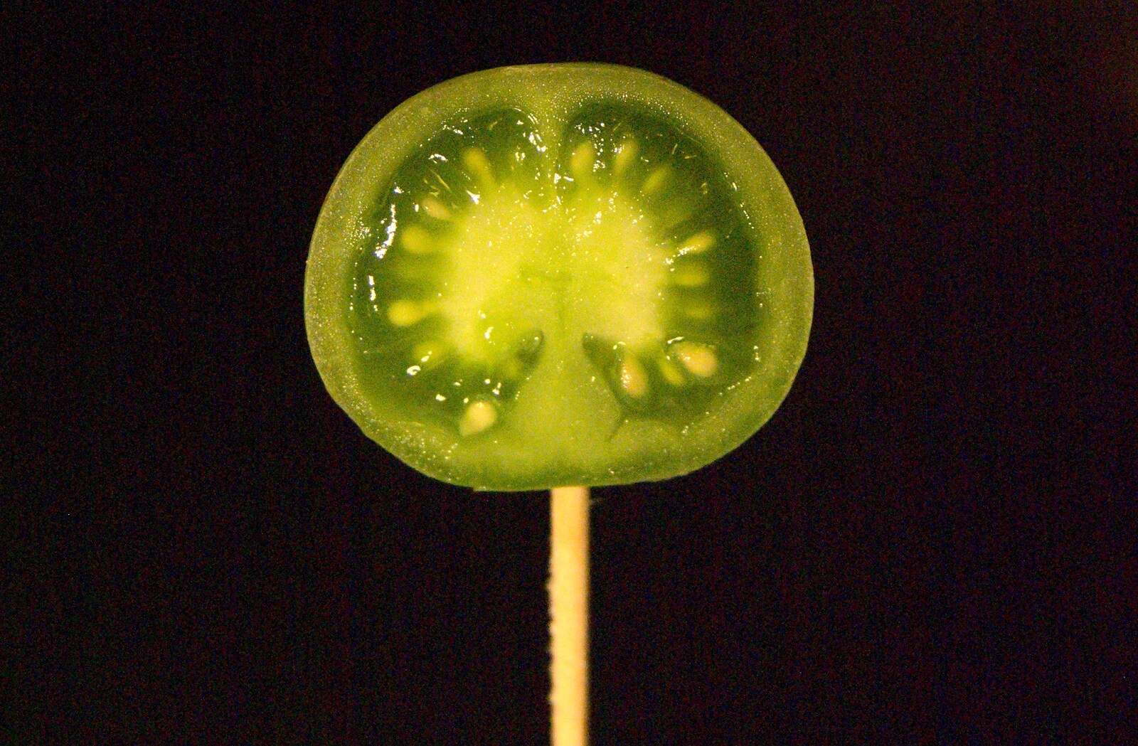 A small green tomato on a stick from London Demonstration and a November Miscellany, London and Brome, Suffolk - 12th November 2011