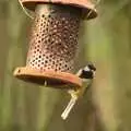 A long-tailed tit, The NCT Sale and a Walk in the Woods, Bressingham and Thornham, Norfolk and Suffolk - 27th November 2011