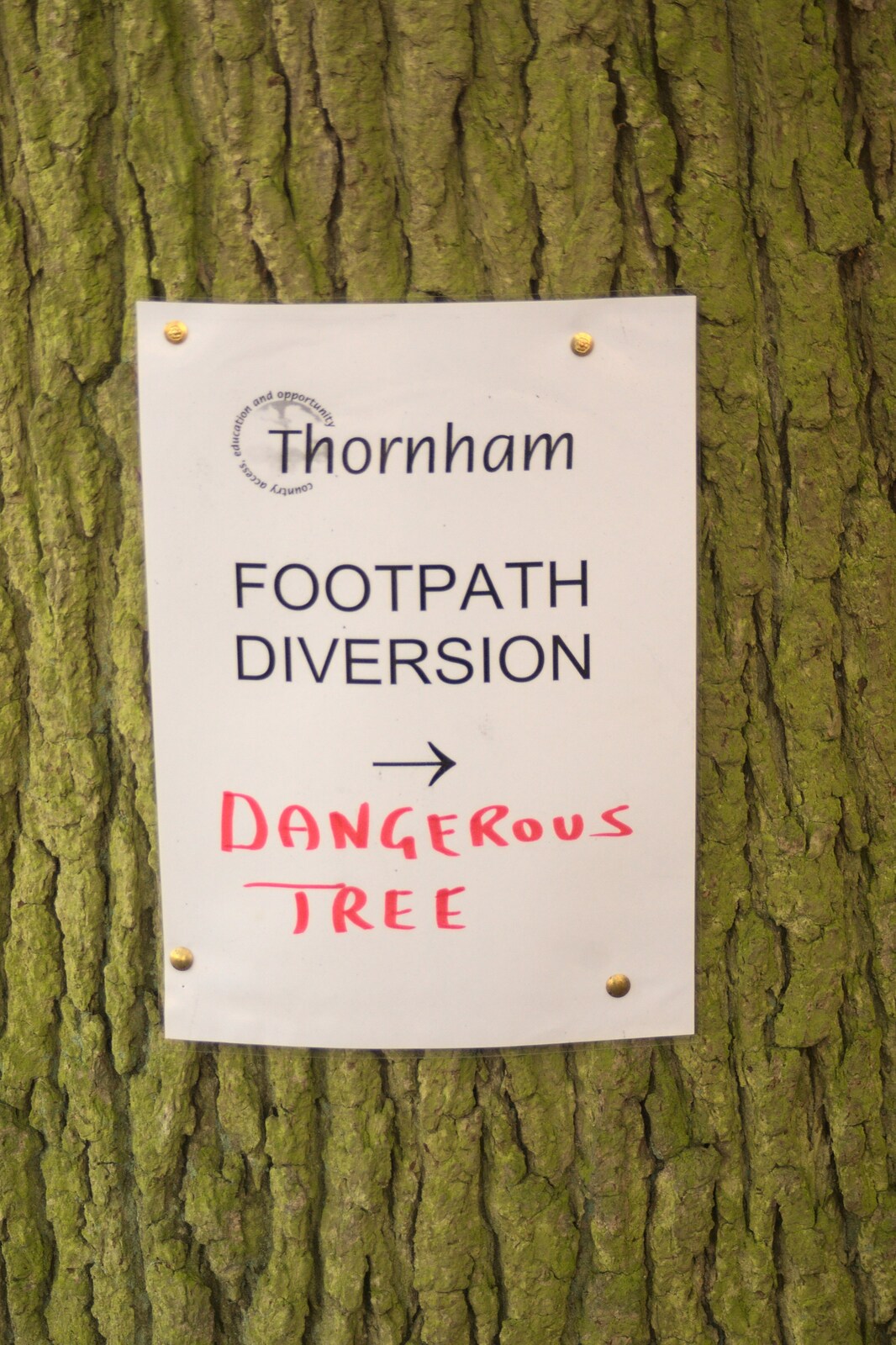 The footath is diverted by a 'dangerous tree' from The NCT Sale and a Walk in the Woods, Bressingham and Thornham, Norfolk and Suffolk - 27th November 2011