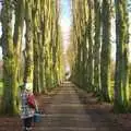 Isobel walks up the tree-lined Cornwallis avenue, Christmas Day in the Swan Inn, Brome, Suffolk - 25th December 2011