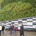 2012 The new M&S extension in Norwich has a funky living wall