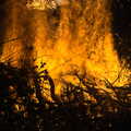Intense flames, Railway Randomness, and Grandad Sets Fire to Stuff, London and Brome, Suffolk - 22nd January 2012