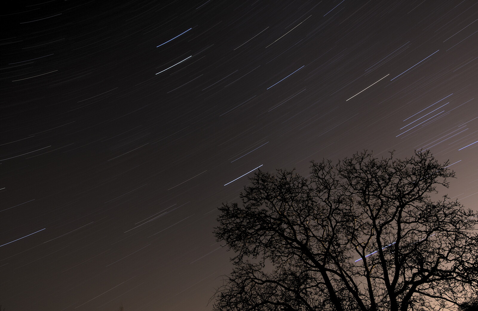 A star trail, with Orion's belt like an ≡ from Railway Randomness, and Grandad Sets Fire to Stuff, London and Brome, Suffolk - 22nd January 2012