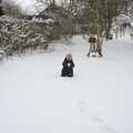 Fred trundles around and makes a snowball, A Snowy February Miscellany, Suffolk - 7th February 2012