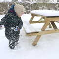 Fred does a bit of clearing, A Snowy February Miscellany, Suffolk - 7th February 2012