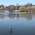 A duck waddles on the frozen Mere, A Snowy February Miscellany, Suffolk - 7th February 2012