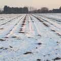 A snow-swept field, Winter Walks with Sis and Matt, Brome and Thornham, Suffolk - 11th February 2012