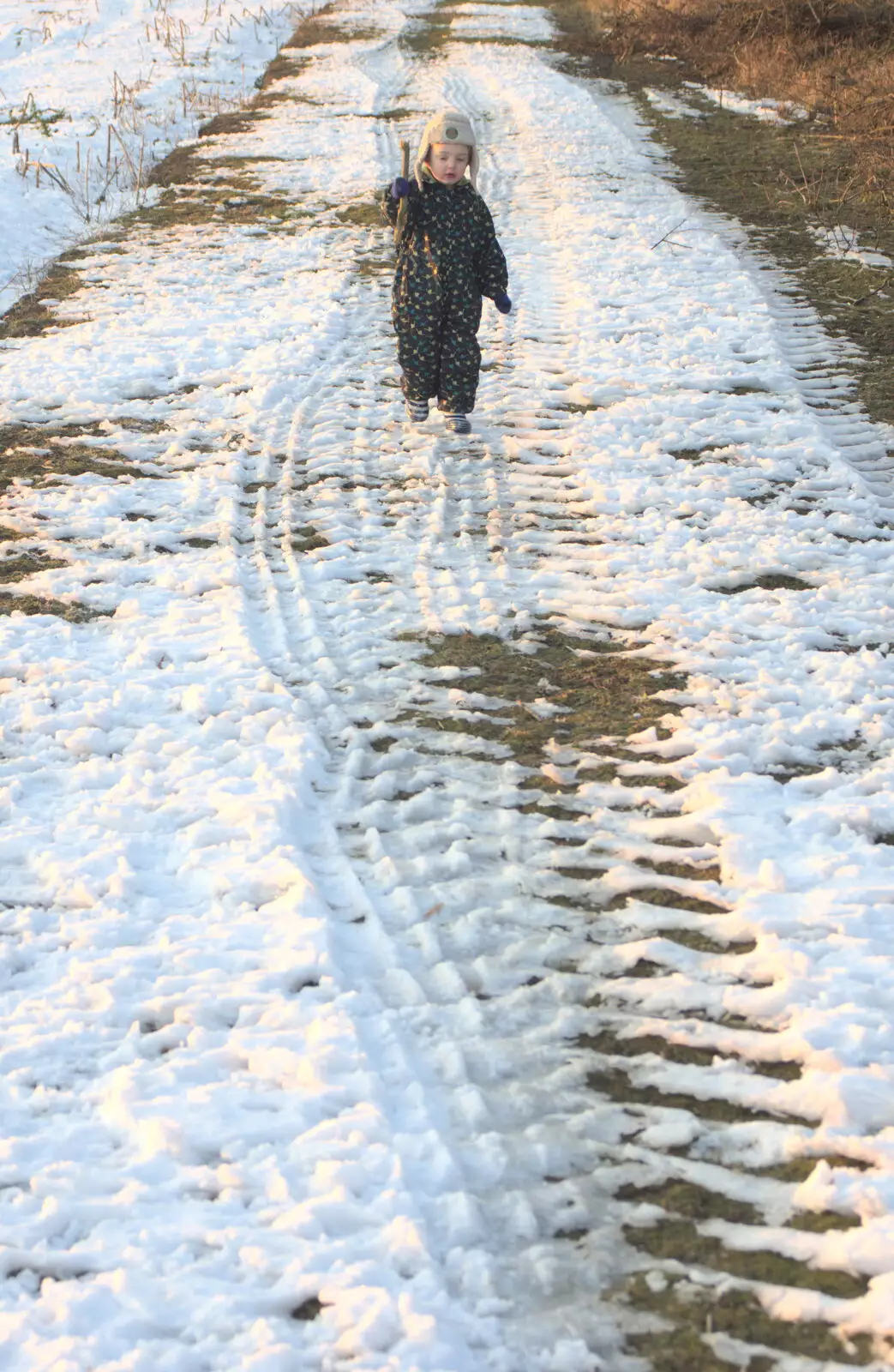 Fred follows some tractor tracks, from Winter Walks with Sis and Matt, Brome and Thornham, Suffolk - 11th February 2012