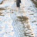 Fred follows some tractor tracks, Winter Walks with Sis and Matt, Brome and Thornham, Suffolk - 11th February 2012