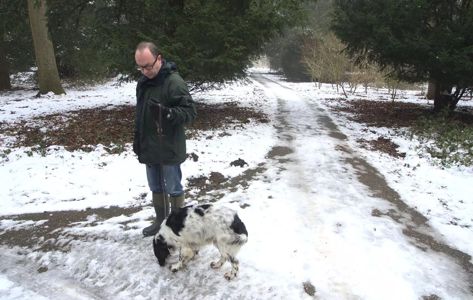 Alfie stops for a moment, from Winter Walks with Sis and Matt, Brome and Thornham, Suffolk - 11th February 2012