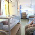 In the fishtank, Sprog Day 2: The Sequel, Brook Ward, Ipswich Hospital - 28th March 2012