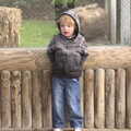 Fred hangs around, A Day at Banham Zoo, Banham, Norfolk - 2nd April 2012