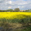 The BSCC Cycling Weekend, The Swan Inn, Thaxted, Essex - 12th May 2012, A yellow field of oilseed rape