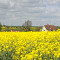 The BSCC Cycling Weekend, The Swan Inn, Thaxted, Essex - 12th May 2012, Essex houses in a field of yellow