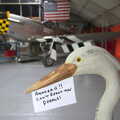 Hangar humour at Hardwick, A Few Hours at Hardwick Airfield, Norfolk - 20th May 2012