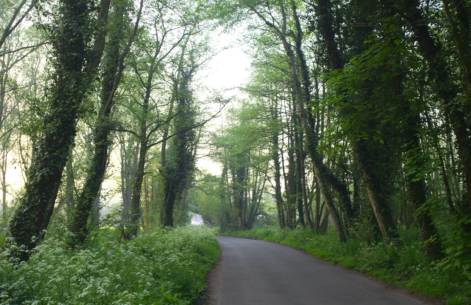 The lane to Brockdish, from The BSCC at Needham, and a Birthday By The Sea, Cley, Norfolk - 26th May 2012