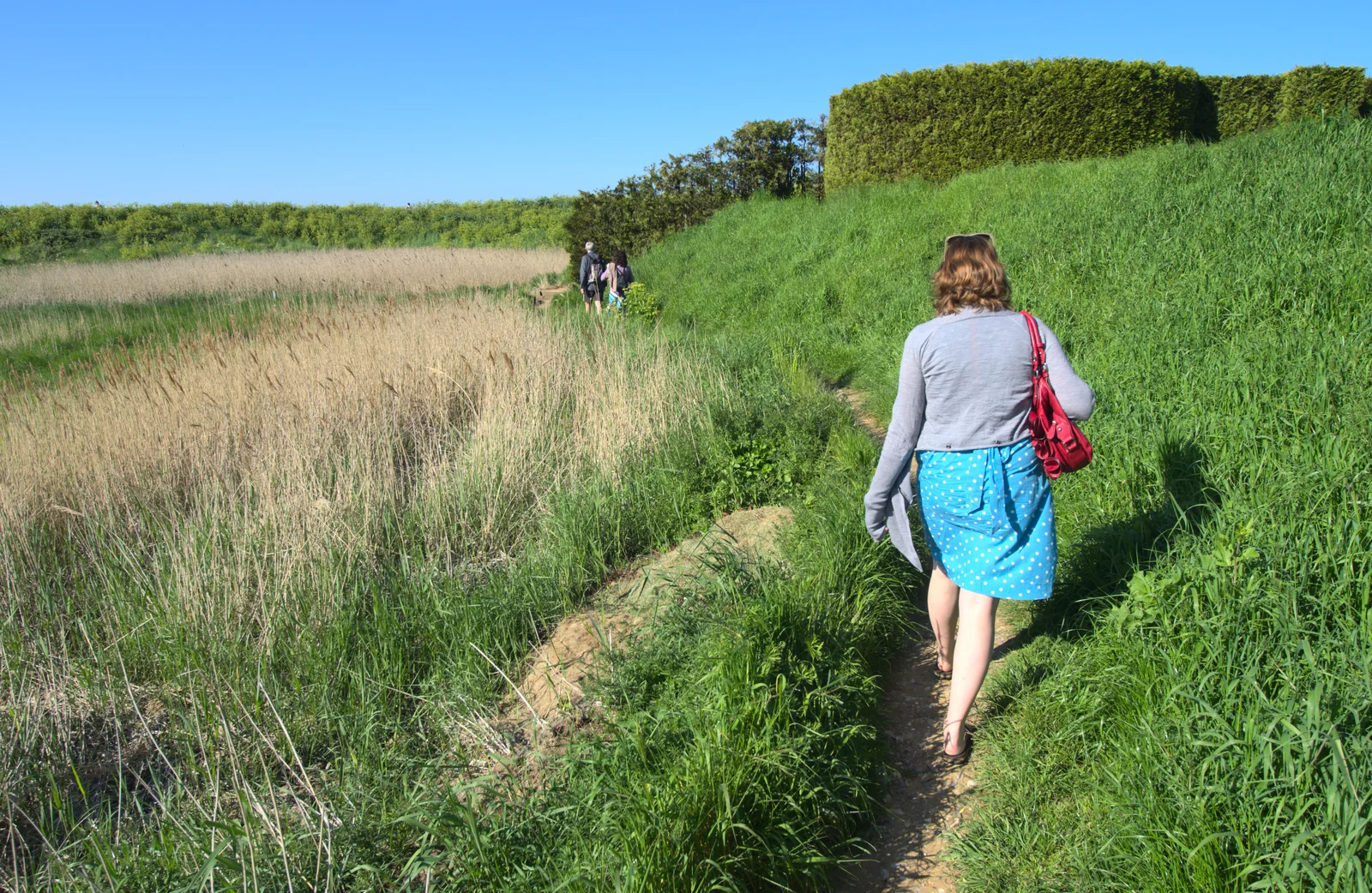 Isobel walks along a path, from The BSCC at Needham, and a Birthday By The Sea, Cley, Norfolk - 26th May 2012